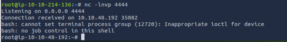reverse shell